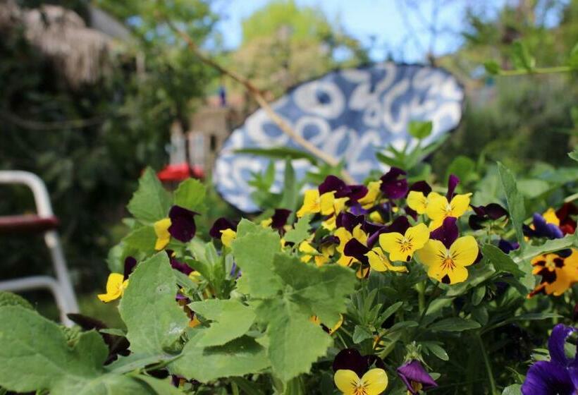 بنسيون Mama Killa Neptunia Eco Hostel