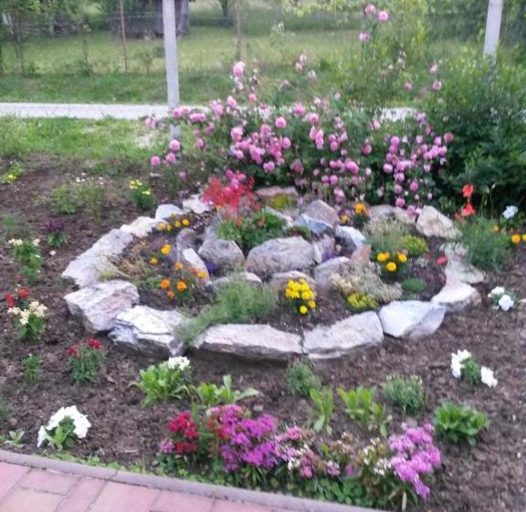 פנסיון Martonyi Erdőszéli Vendégház