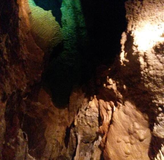 פנסיון Martonyi Erdőszéli Vendégház