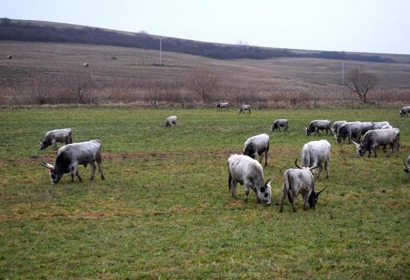 פנסיון Martonyi Erdőszéli Vendégház