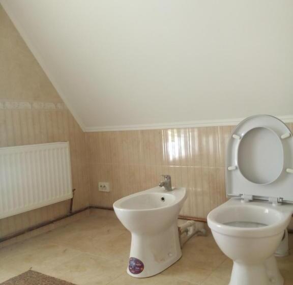 بنسيون Oselya Guest House