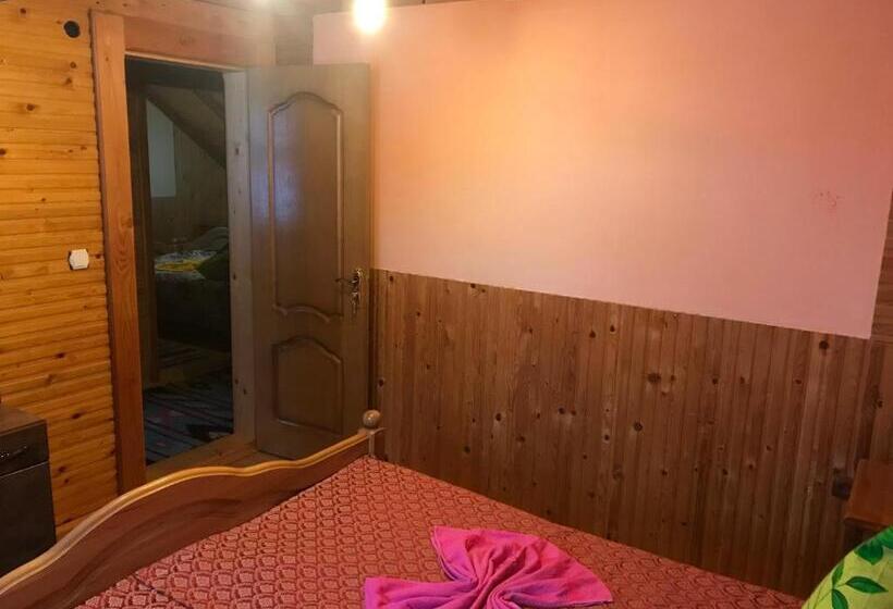 Пансион Shelest Vody