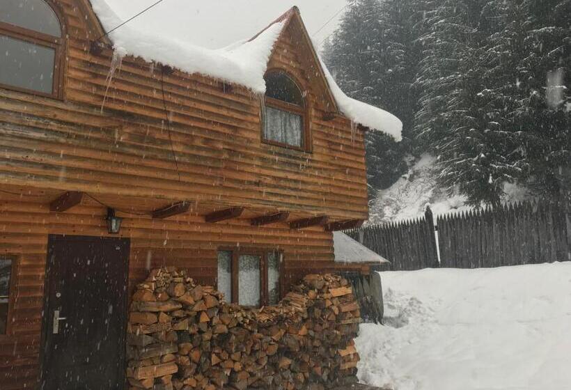 Пансион Shelest Vody