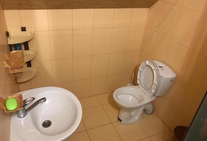 ペンション Shelest Vody