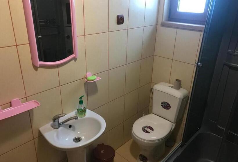 Пансион Shelest Vody