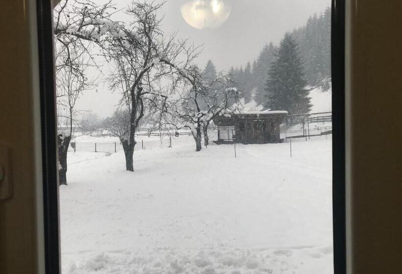 Пансион Shelest Vody