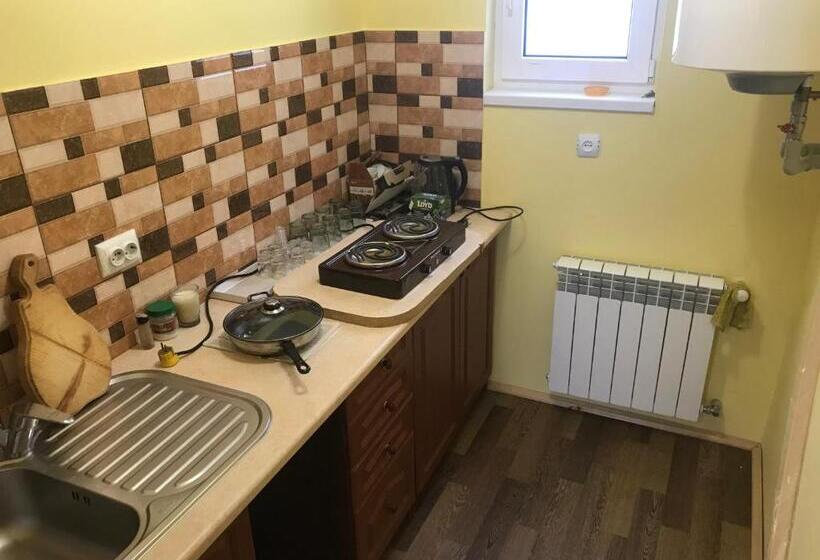 ペンション Shelest Vody