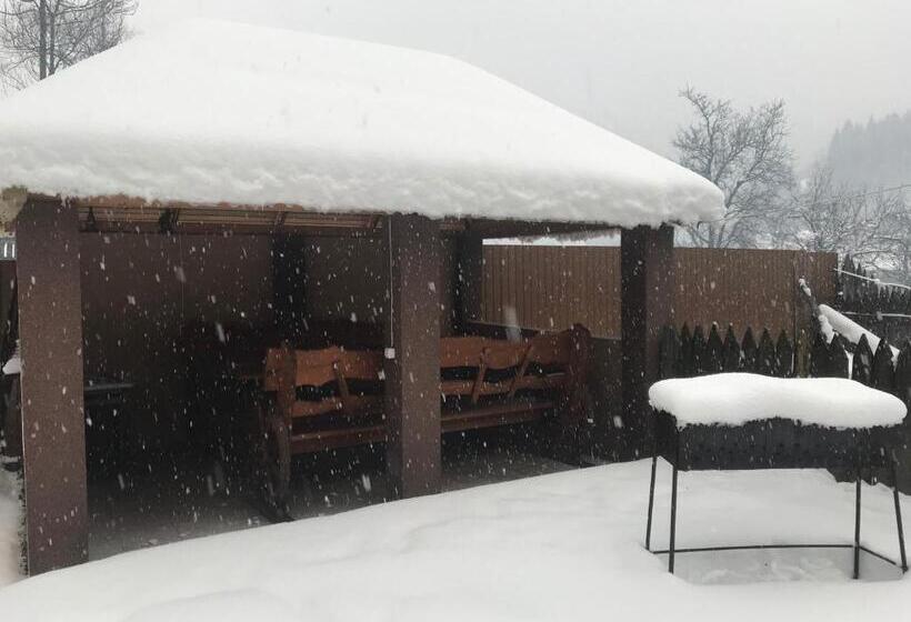 Пансион Shelest Vody