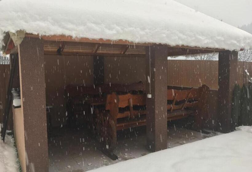 Пансион Shelest Vody