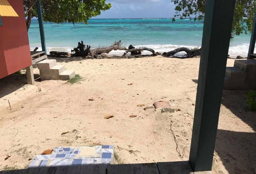 膳宿费 Sunrise Paradise/carlito´s Place