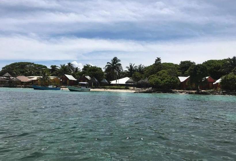 膳宿费 Sunrise Paradise/carlito´s Place