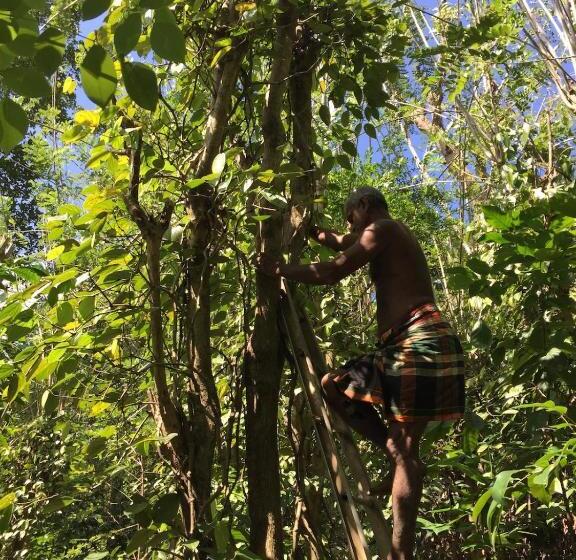 ペンション The Pepper Cottage