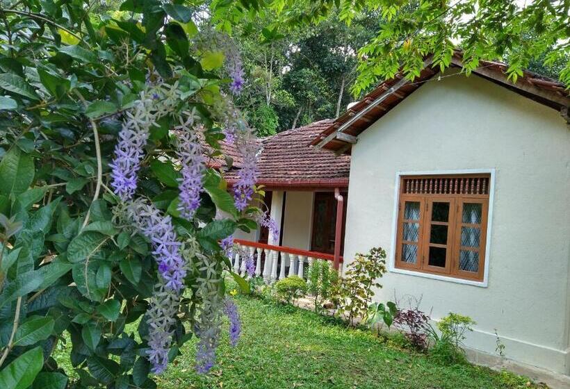 פנסיון The Pepper Cottage