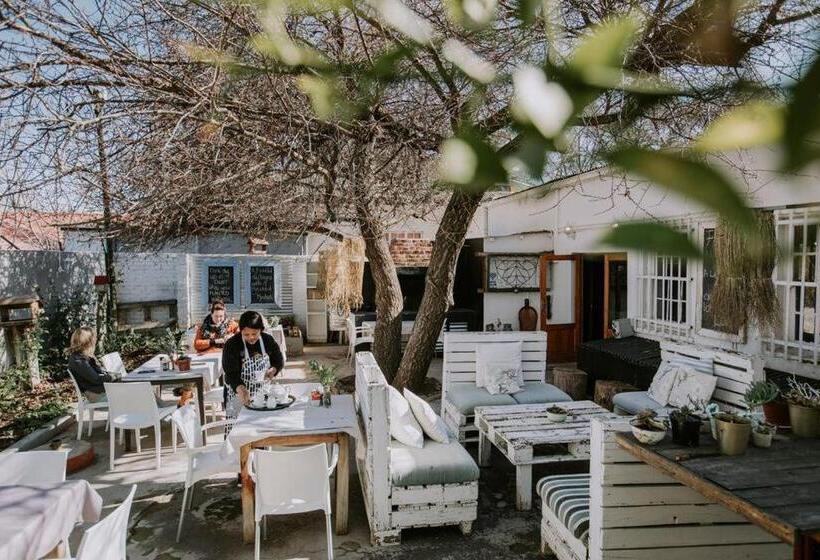 פנסיון Three Birds Country House