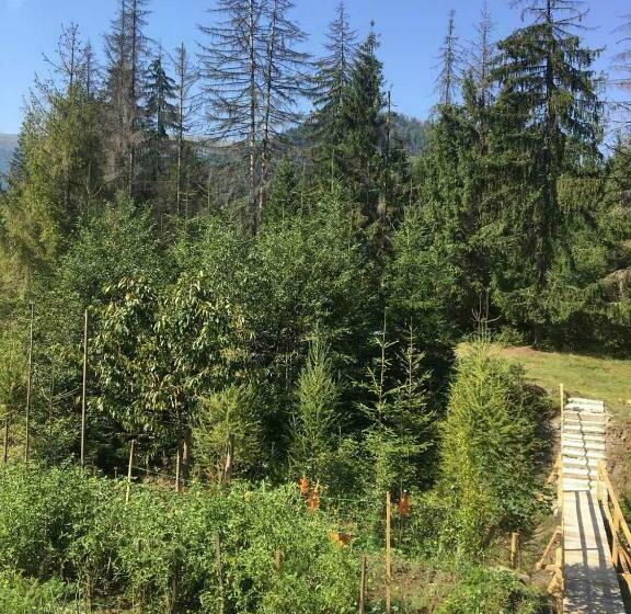 بنسيون Wooddream