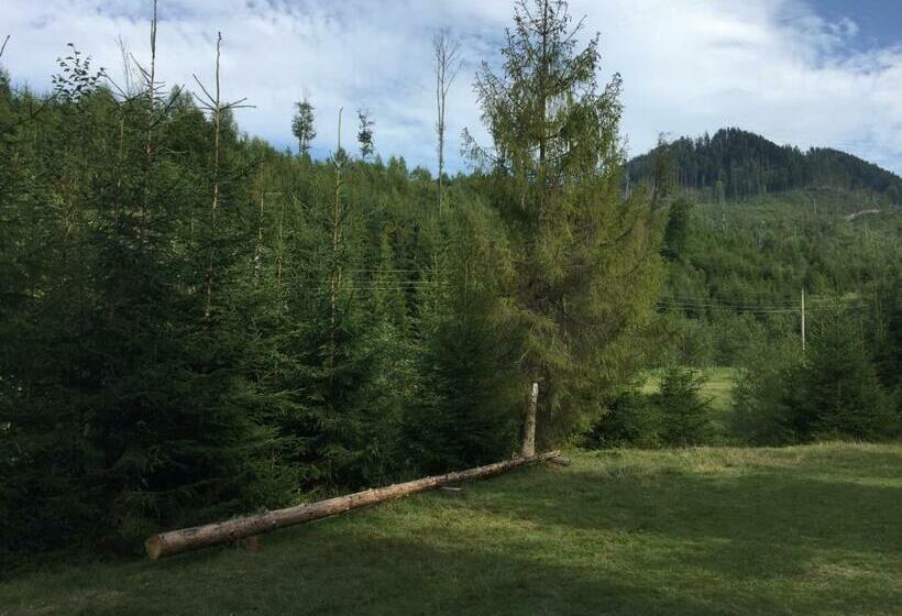 بنسيون Wooddream