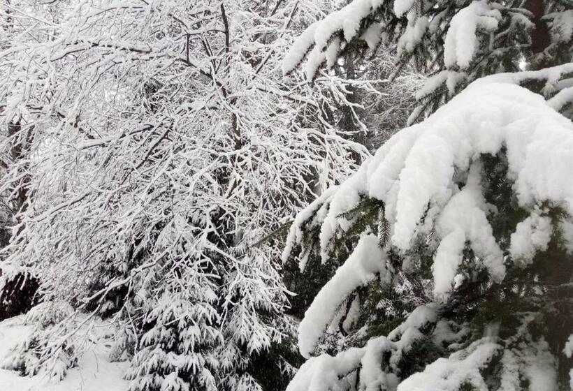 פנסיון Wooddream