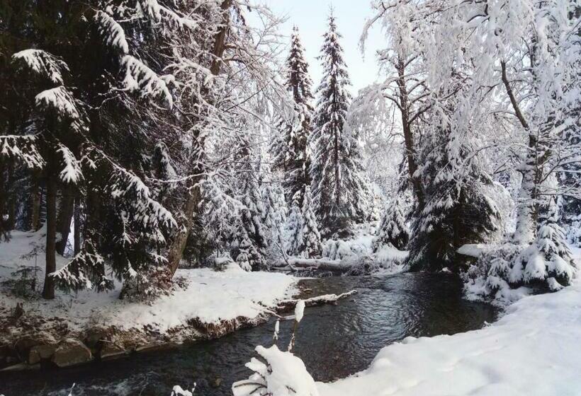 بنسيون Wooddream