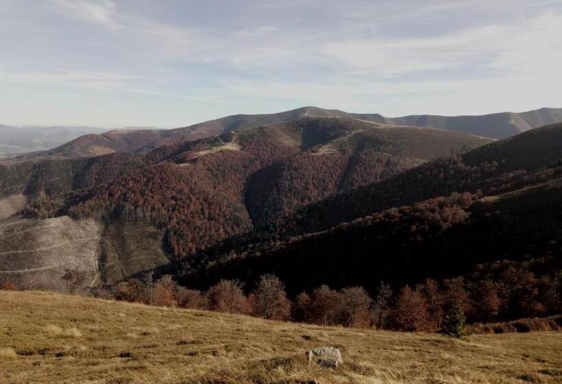 פנסיון Wooddream