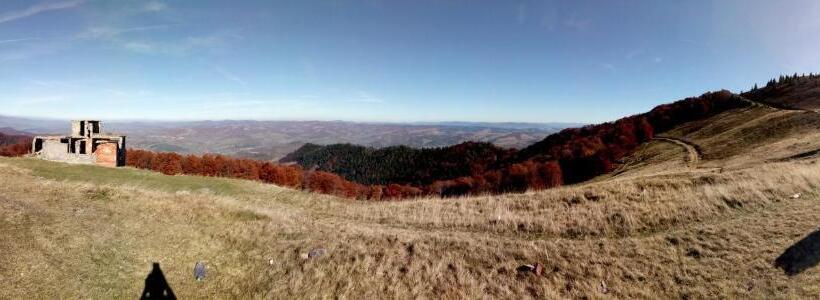 פנסיון Wooddream