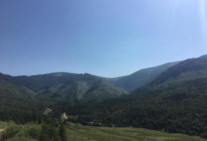 פנסיון Wooddream