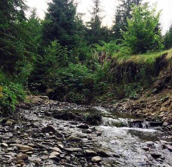 بنسيون Wooddream