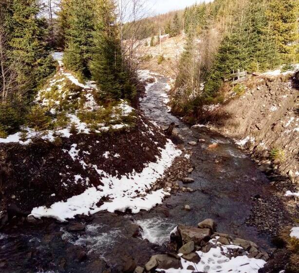 פנסיון Wooddream