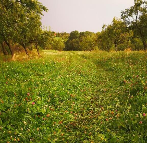 Pensiunea La Maria Lu  Sandoiu