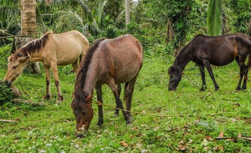 渡假胜地  Recidencia Del Hamor