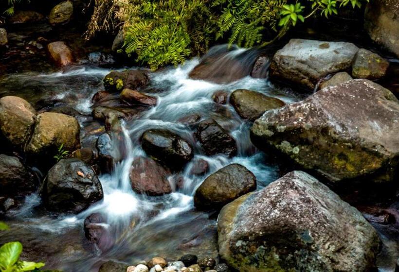 渡假胜地  Recidencia Del Hamor