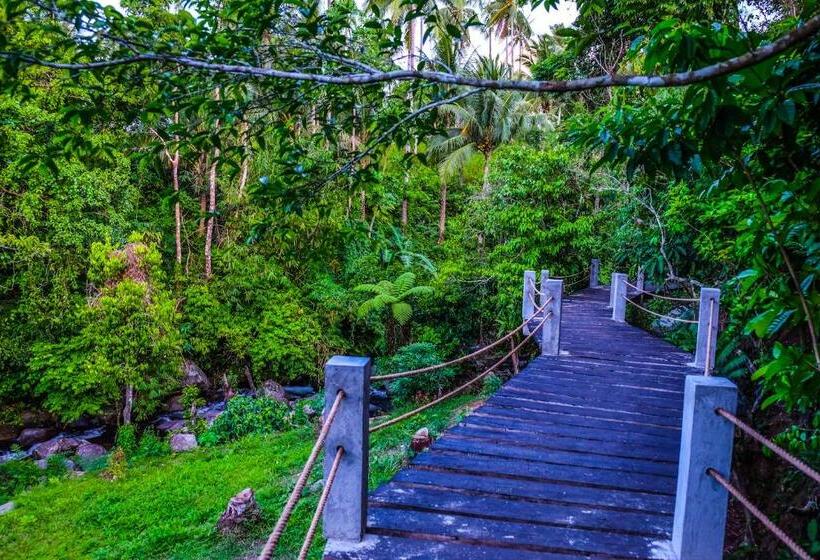 渡假胜地  Recidencia Del Hamor