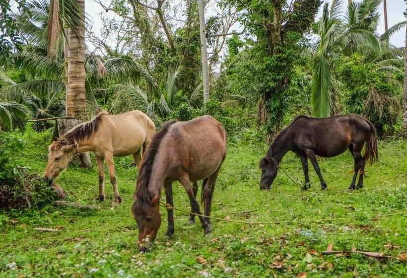 渡假胜地  Recidencia Del Hamor