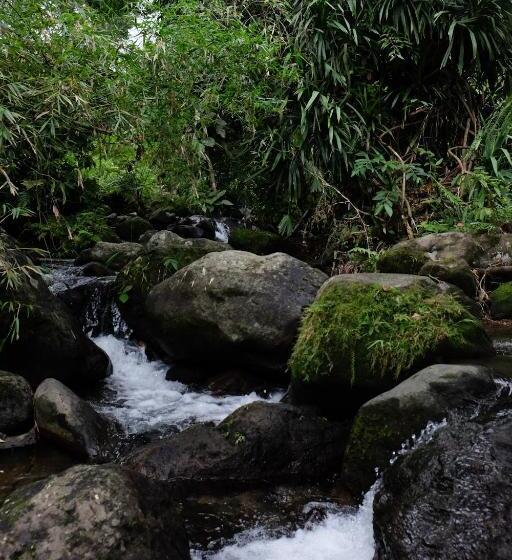 渡假胜地  Recidencia Del Hamor