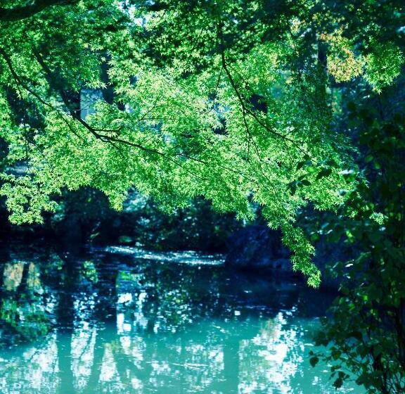 ריוקאן Zen&bed Bogetsuan