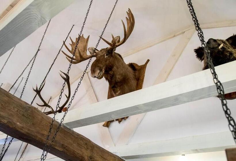 Hostel дальний кордон