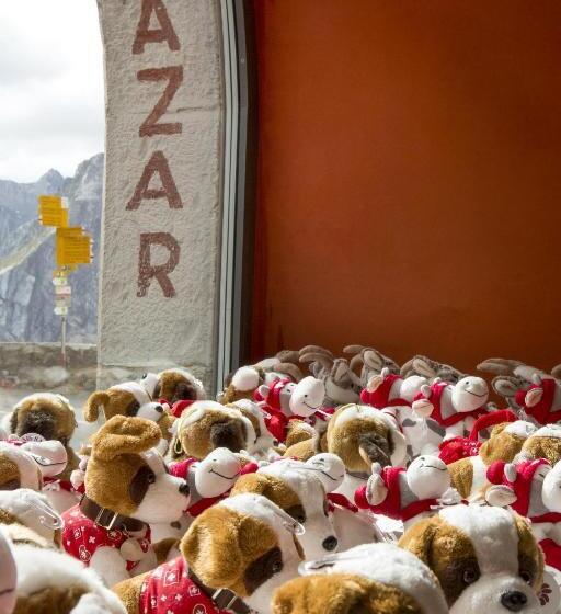 הוסטל Auberge De L Hospice