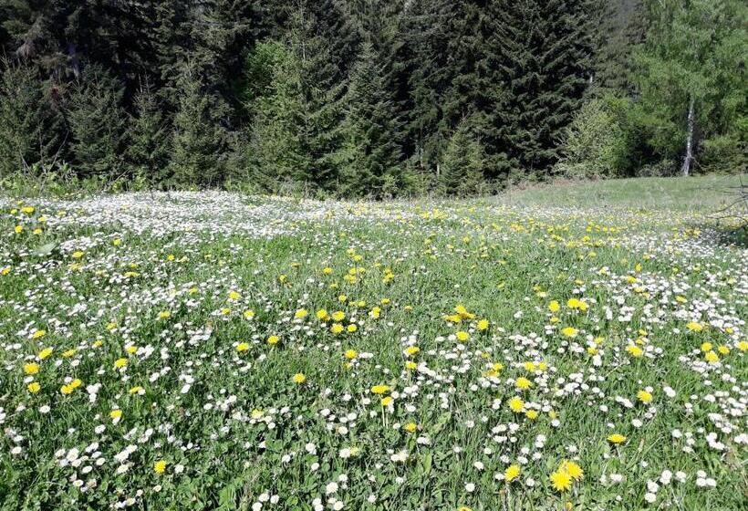 הוסטל Eco Resort Nad Karpatamy