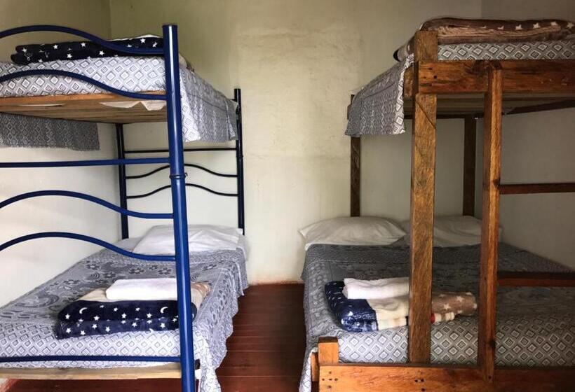 Hostel Ecolife Calima