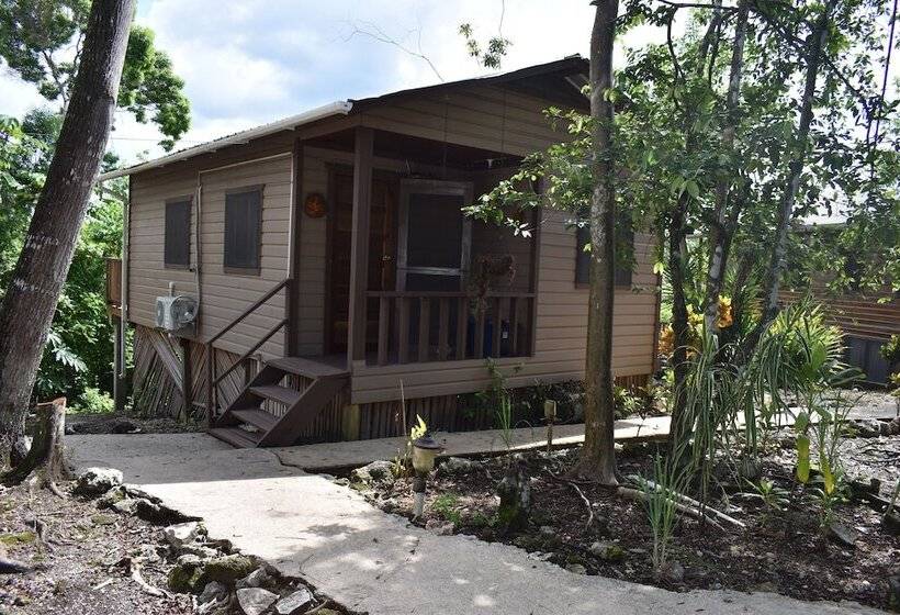 הוסטל Hidden Haven