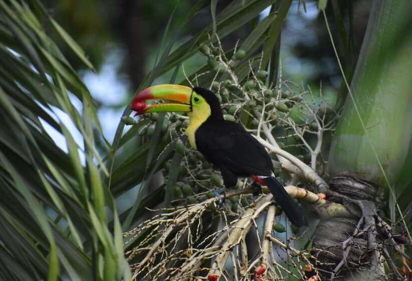 הוסטל Hidden Haven