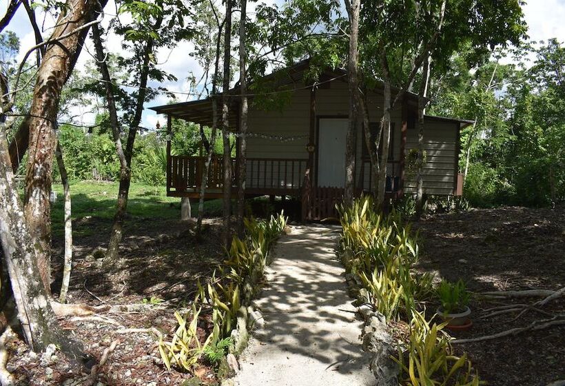 הוסטל Hidden Haven