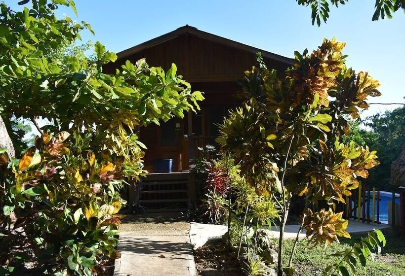 הוסטל Hidden Haven