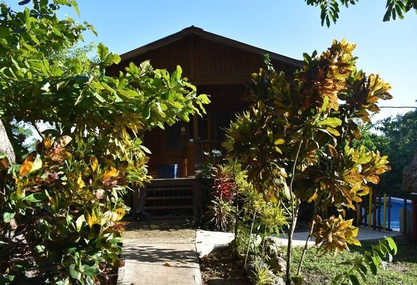 הוסטל Hidden Haven