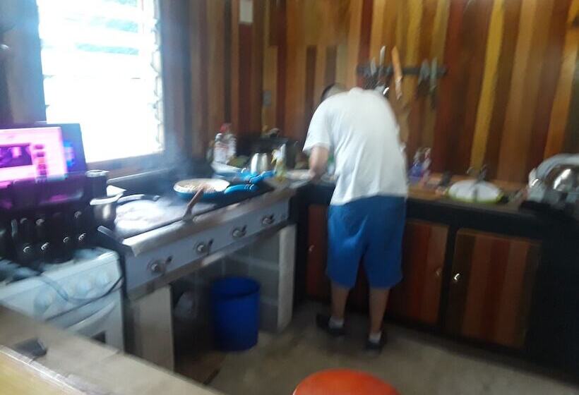 הוסטל Hidden Haven