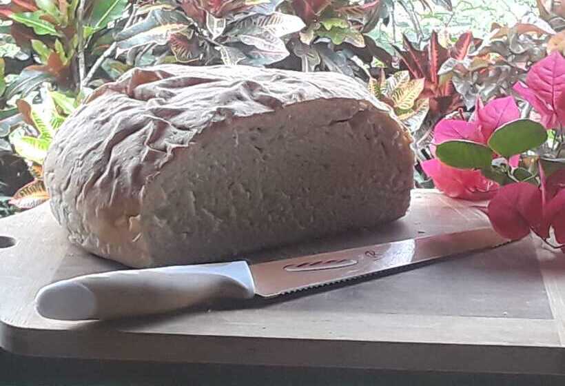 הוסטל Hidden Haven