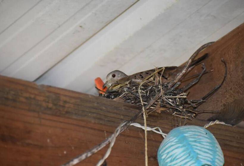 הוסטל Hidden Haven