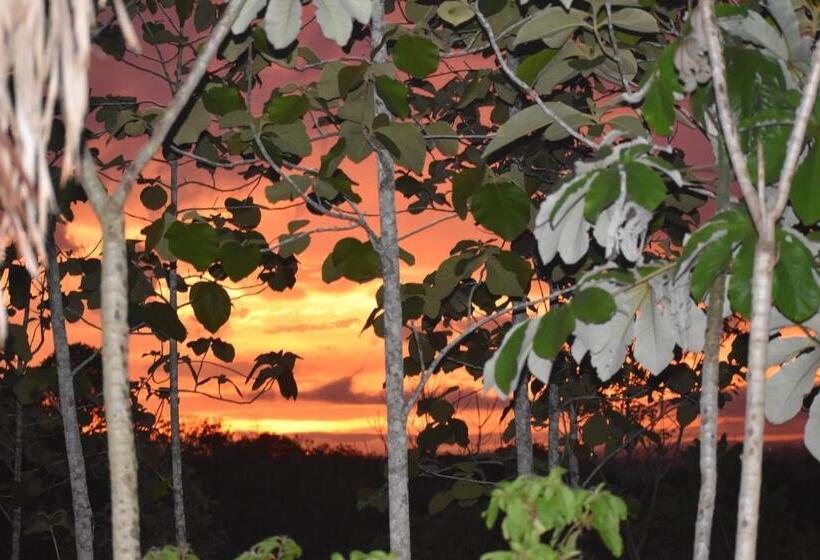 הוסטל Hidden Haven