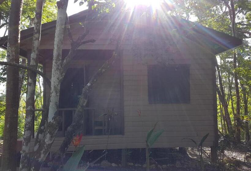 הוסטל Hidden Haven