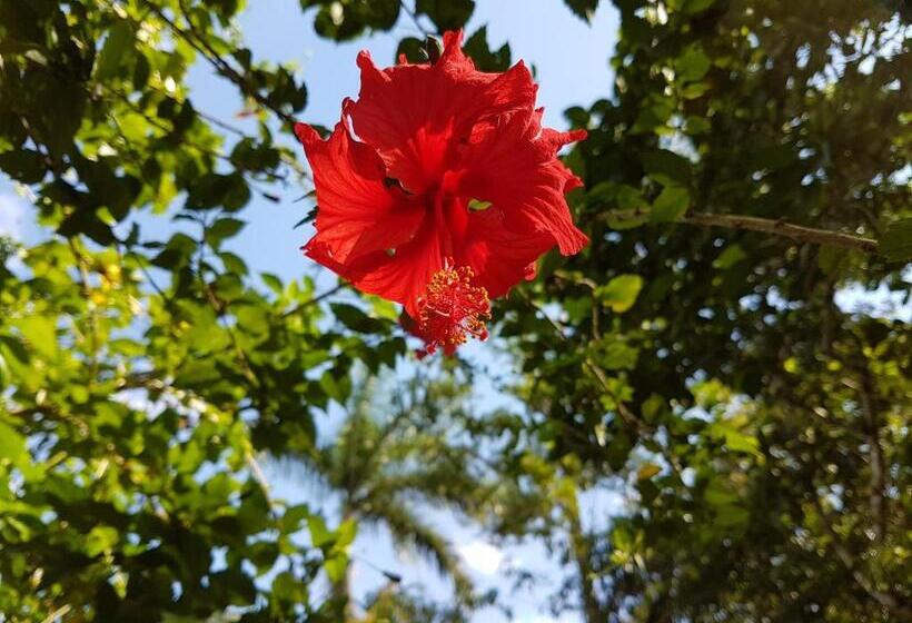 הוסטל Hidden Haven