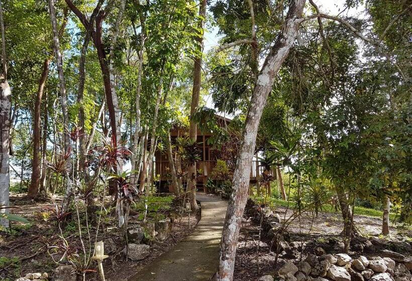 הוסטל Hidden Haven